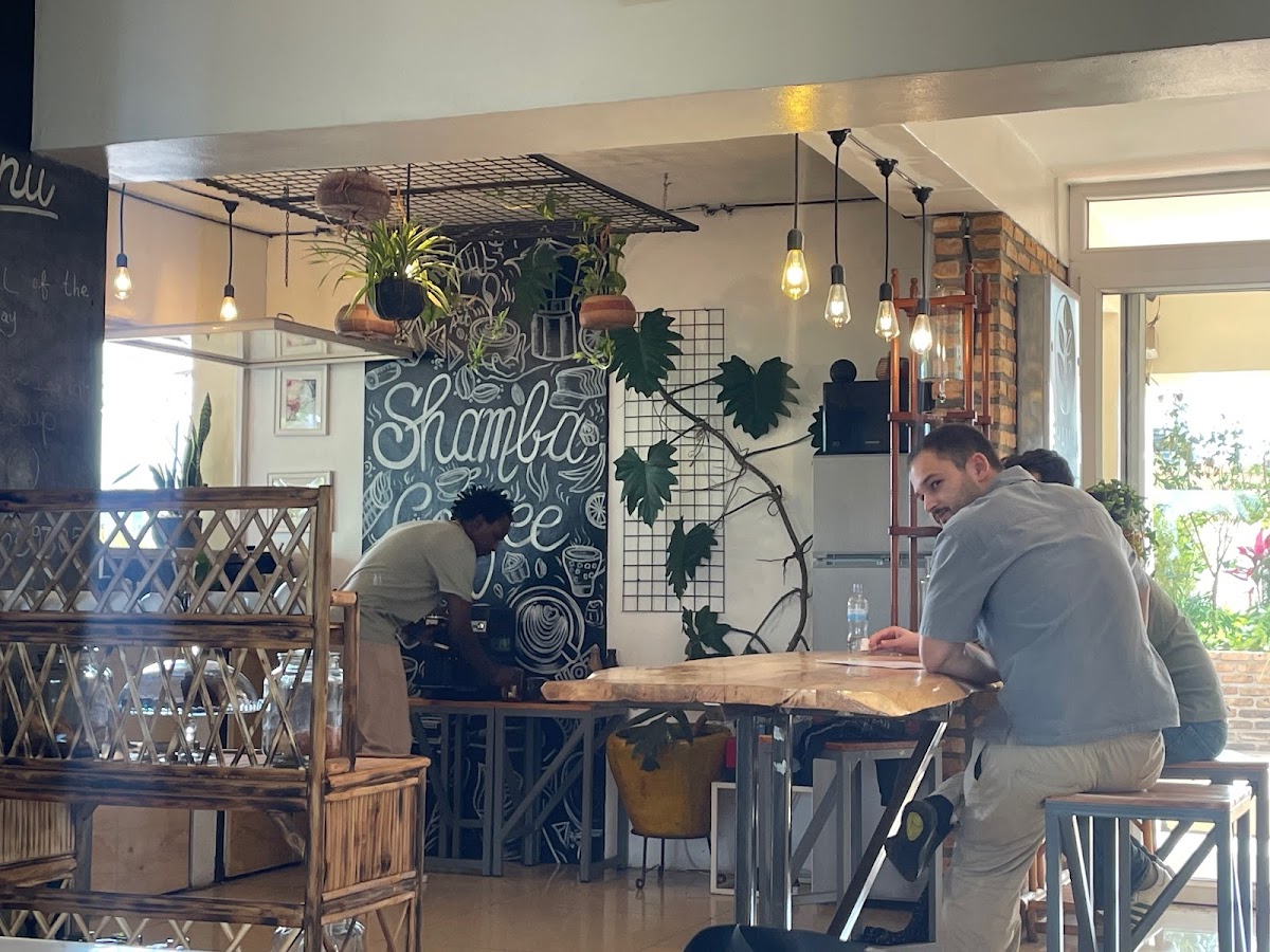 Shamba Speciality Coffee