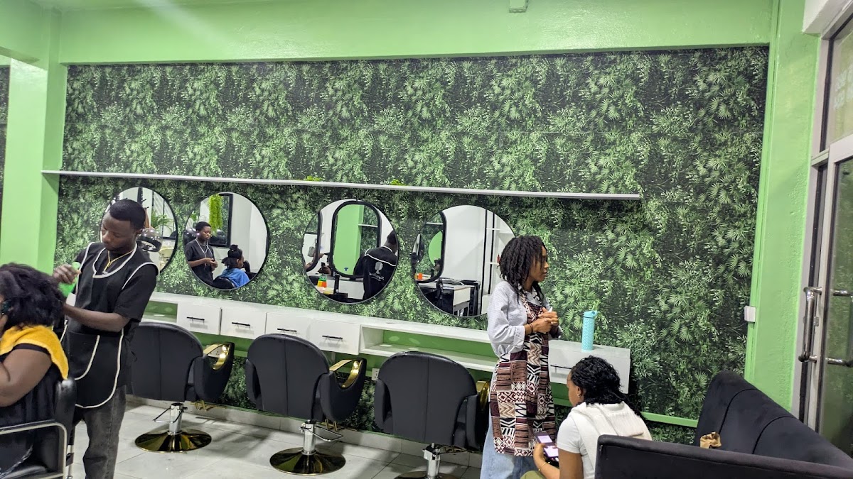 Nappyhood Natural Hair Salon Sonatube (SilverBack Mall)